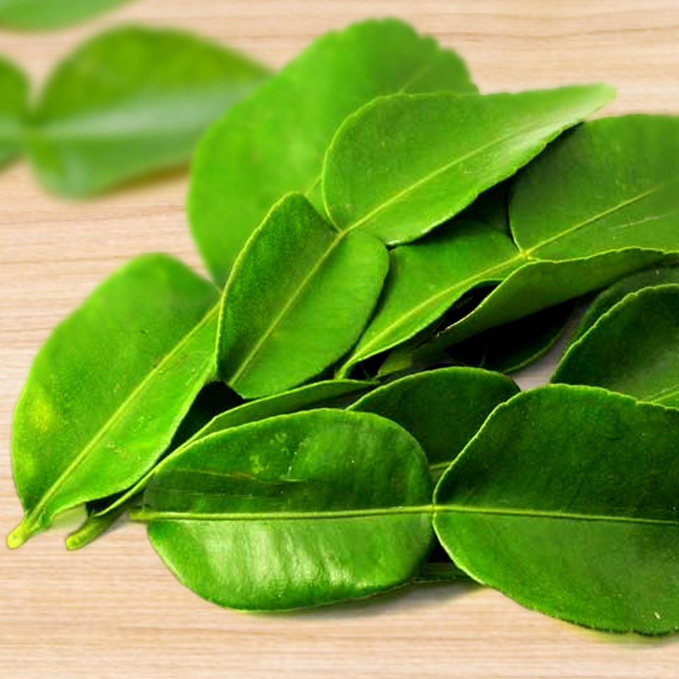 Feuilles de citron vert kaffir