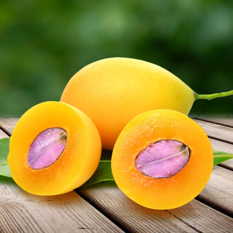 Prune Marianne