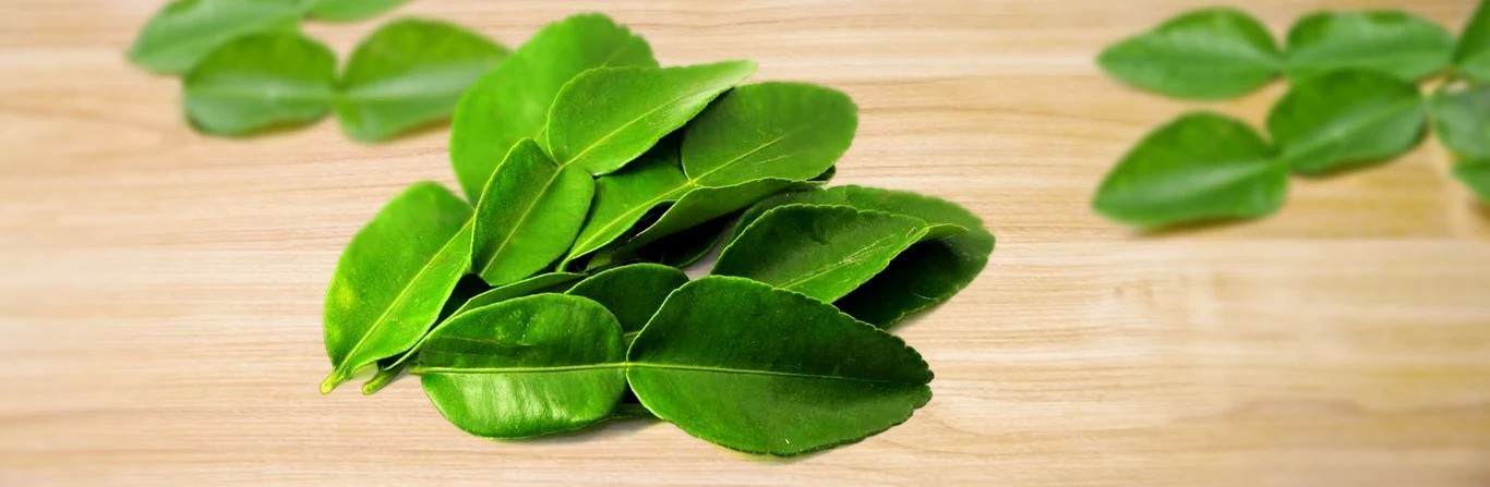 Kaffir Lime leaf