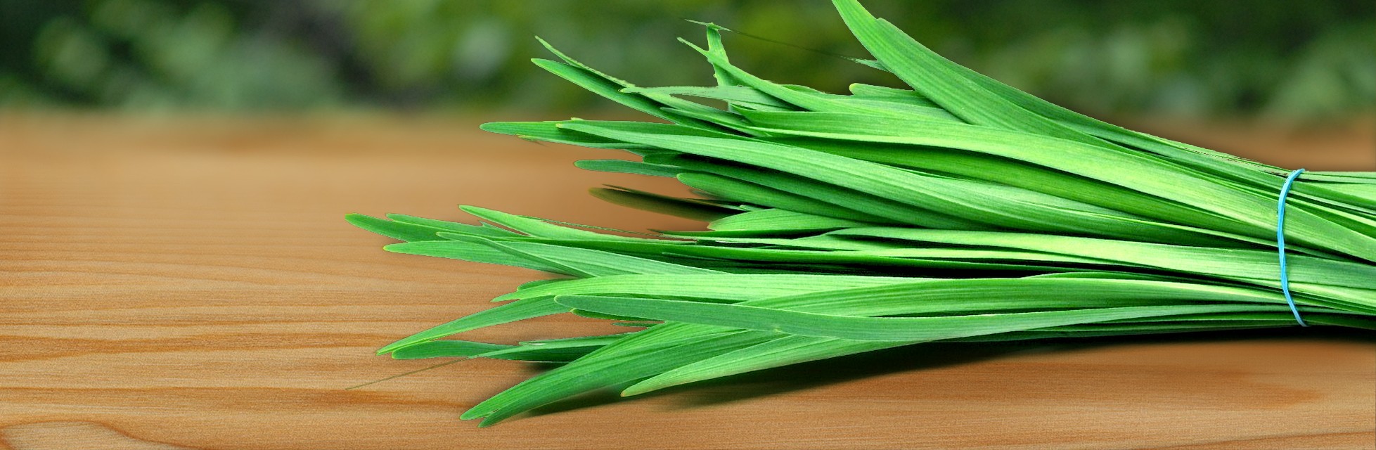 Chinese Chives