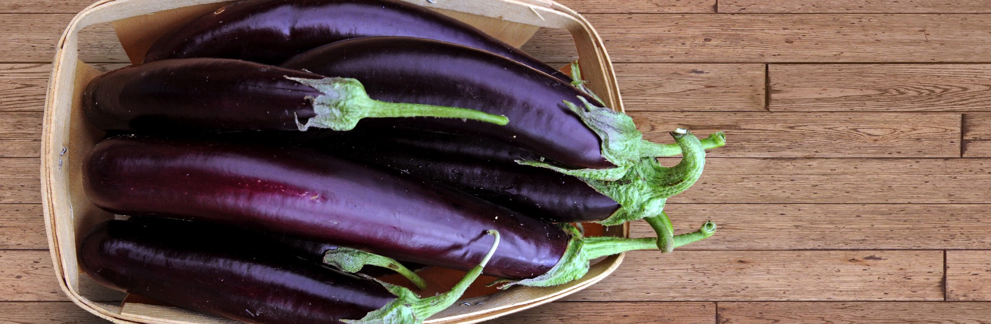 Purple eggplant long