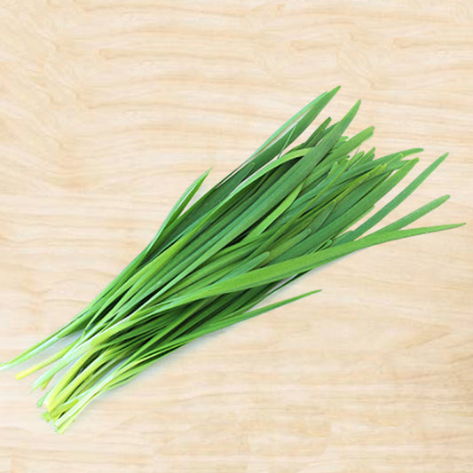 Chinese Chives