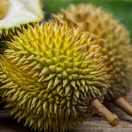 Durian 