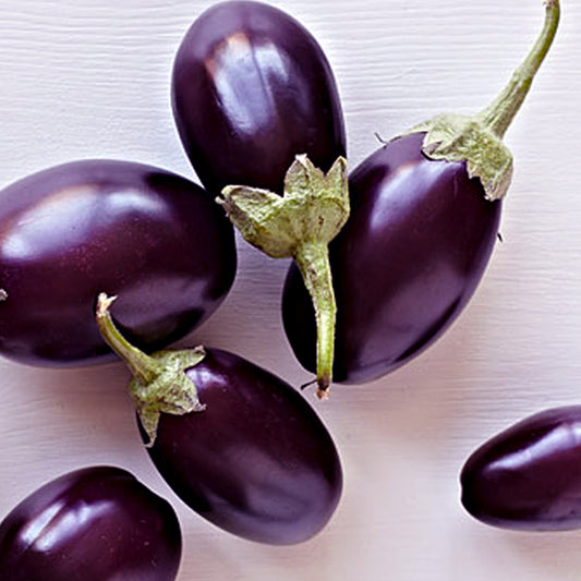 Aubergine